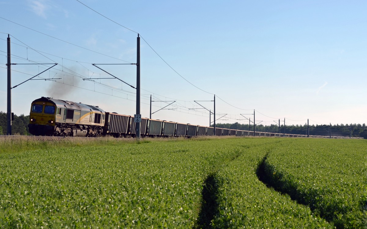 Mit einem langen Hchbordwagenzug mühte sich die FPL-Class 66 66001 am 31.05.14 in Burgkemnitz ab um ihn Richtung Wittenberg zu befördern. 