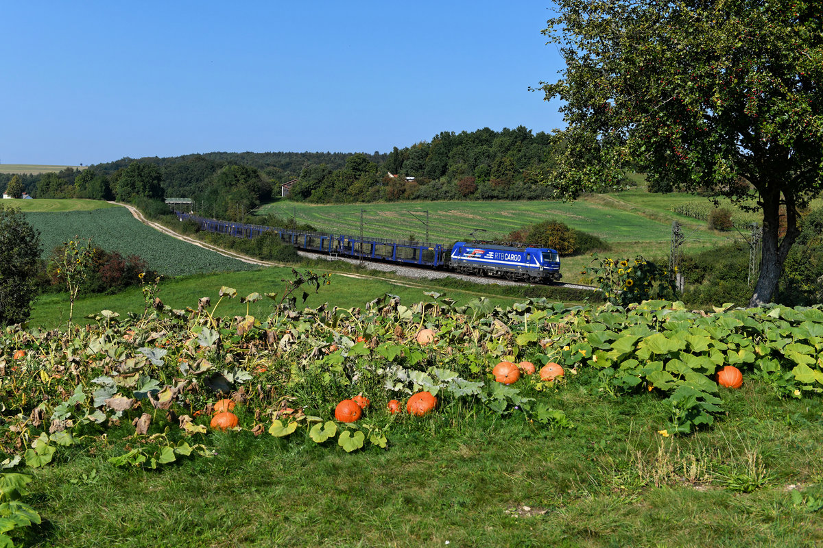 Mit einem leeren Autotransportzug war die für die Rurtalbahn Cargo fahrende 193 792 am 15. September 2020 in Richtung Ungarn unterwegs. Bei Edlhausen in der Oberpfalz konnte ich die Leistung in einer frühherbstlichen Umgebung in Szene setzen. 