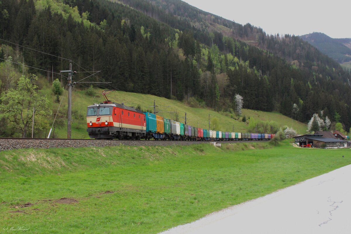 Mit einem leeren Hackschnitzelzug fährt am 10.4.2024 die 1144 117 von Selzthal kommend nach Ybbs an der Donau hier zwischen Frauenberg an der Enns und Admont.