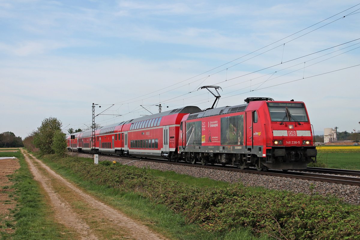 Mit einem RE (Freiburg (Brsg) Hbf - Basel Bad Bf) fuhr am späten Nachmittag des 21.04.2020 die 146 236-5  Schwarzwaldbahn Erlebnispfard/Triberg  südlich von Buggingen über die Rheintalbahn in Richtung Müllheim (Baden).