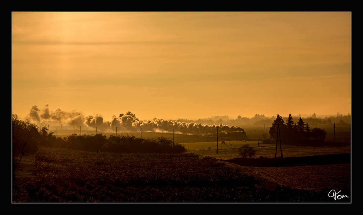 Mit der ersten Sonnenstrahlen, dampft 310.23 mit dem SDZ 17264 von Wien Heiligenstadt nach Krems an der Donau. 
Wagram am Wagram 28.10.2016