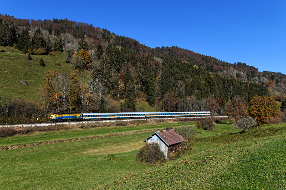 Mit fünf Wagen wies der ALX 84108 nach Lindau am 07. November 2020 die perfekte Länge für dieses herbstliche Motiv bei Ratholz auf. Es führte  Bodo , die Werbelok für den Bodensee-Oberschwaben-Verkehrsverbund. 