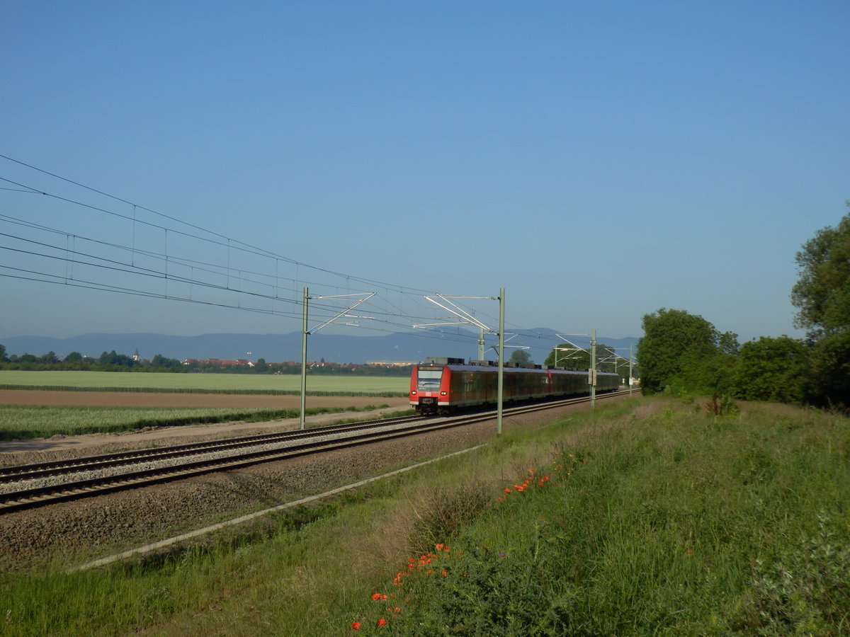 Mit gleich drei 425 braust eine S-Bahn zur Rushhour des 30.05.2018 aus dem pfälzischen Neustadt kommend der pulsierenden Rhein-Neckar-Region entgegen.
