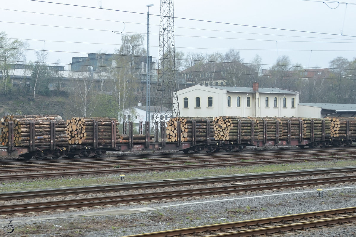 Mit Holz beladene Flachwagen im April 2017 auf dem Bahnhof Freiberg.