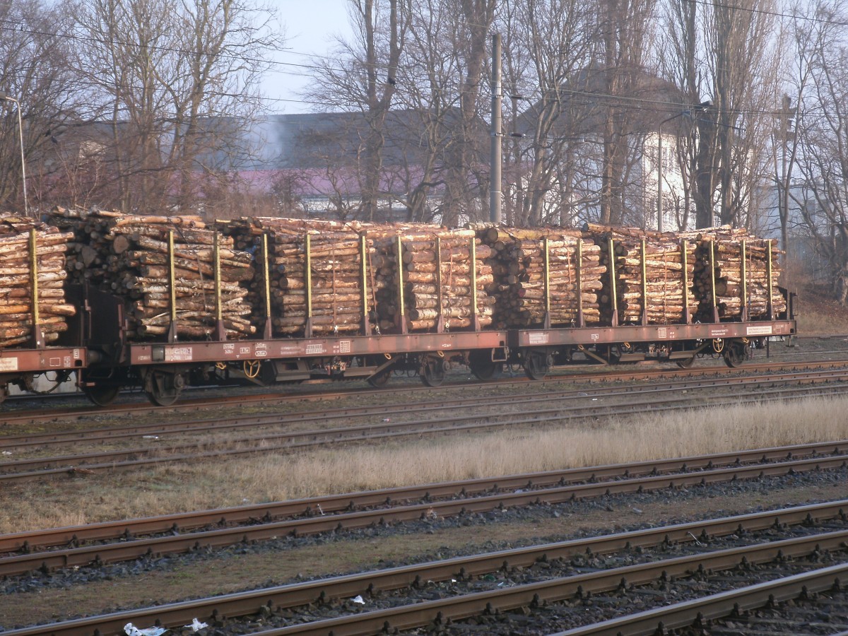 Mit Holz beladener Laas,am 01.März 2014,in Bergen/Rügen.