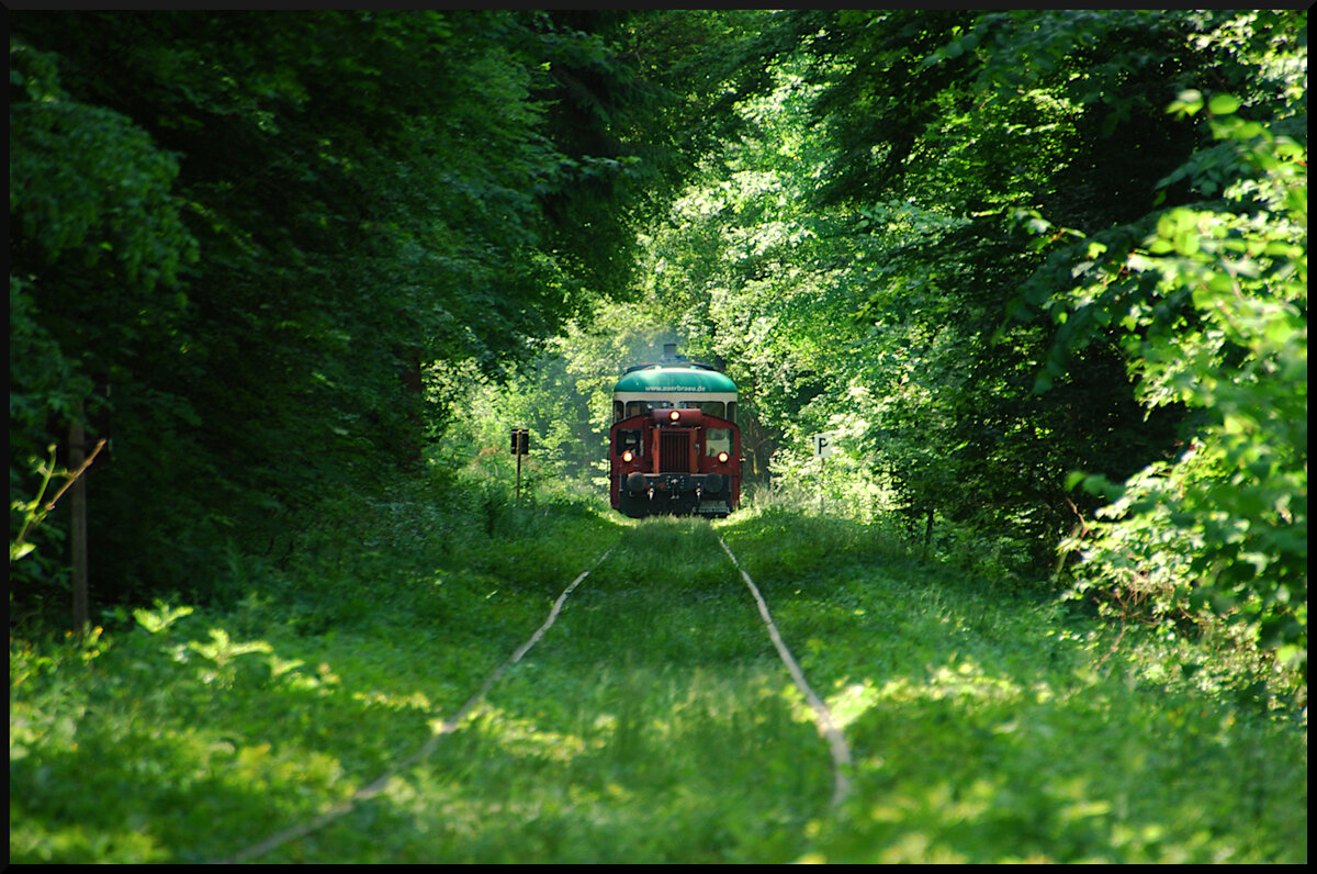 Mit der LEO (Lokalbahn Endorf Obing) durch die grüne  Hölle : Hier kommt die Köf 323 699-9 am 04.06.2023 mit dem Esslinger Beiwagen (95 80 0303 003-7 D-LOGWI), dem Packwagen (Gkklms 27 80 1385 003-9 D-BKE) und einer V60 (260 106-0, Logistik Wiesböck GmbH Kiefersfelden) am Zugschluss die Steigung nach Amerang herauf. (Foto: Ferdinand Kümmel)