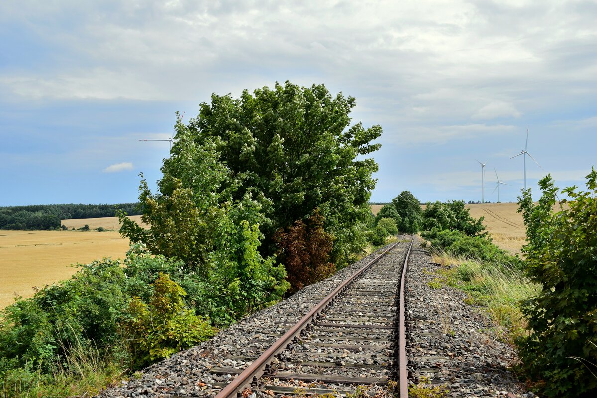 Mit mächtig Steigung und auch engen Bögen führte die Thüringer Oberlandbahn von Triptis aus Richtung Auma. Hier ein Blick bergab von der L1087 in Richtung Triptis. Der Personenverkehr wurde hier am 24. Mai 1998 eingestellt. Die Strecke seit dem 1.1.2005 stillgelegt jedoch noch vollständig vorhanden. Lediglich bei Moßbach gibt es eine Lücke durch die Verbreiterung der A9. 

Gütterlitz 31.07.2023