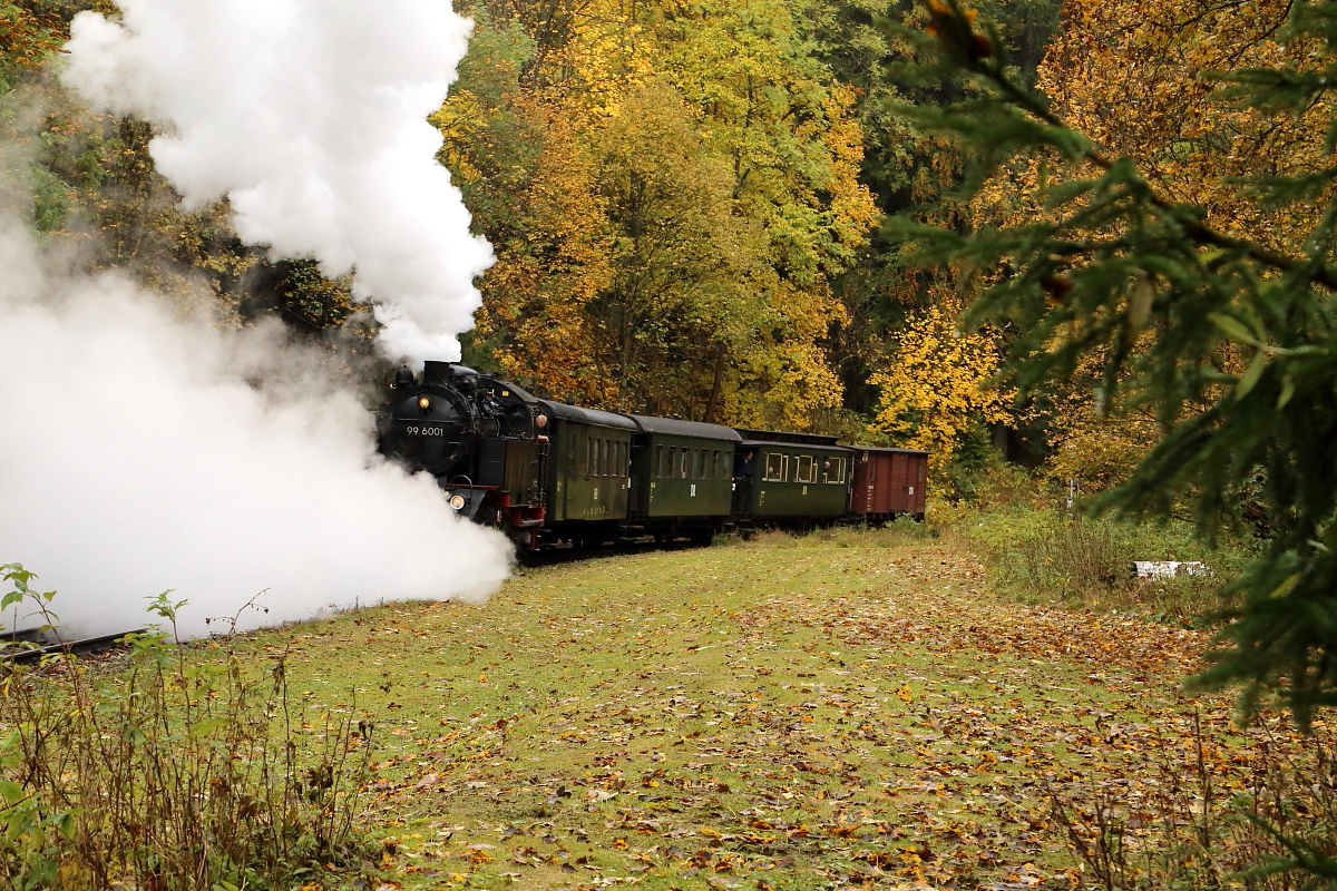 Mit mächtig viel Dampf schiebt 99 6001 am 22.10.2016 ihren IG HSB-Sonderzug aus dem Haltepunkt Tiefenbachmühle. Da war man gespannt auf die folgende Scheineinfahrt!