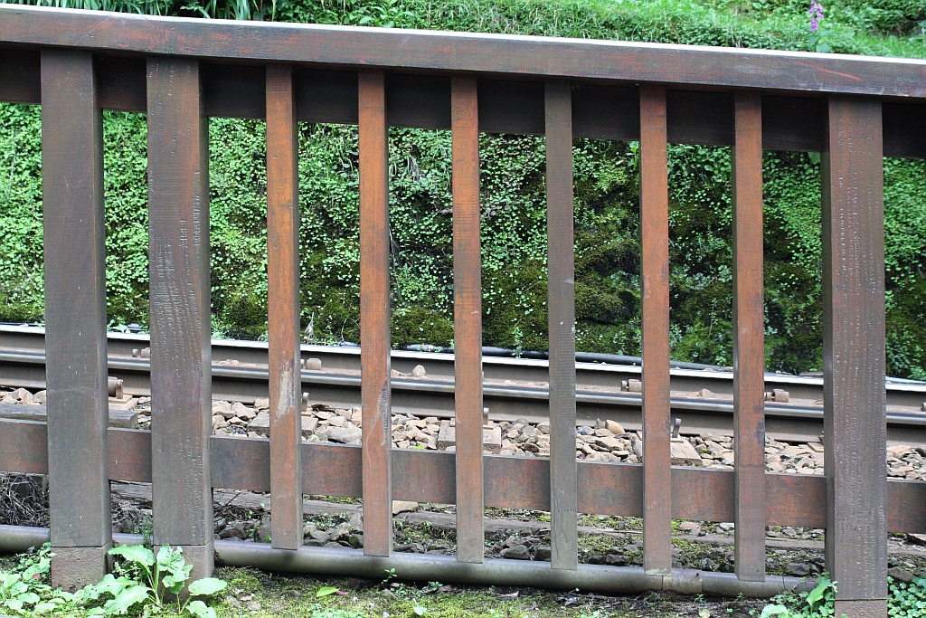 Mit einer Maximalsteigung von 6,25% ist die Alishan Forest Railway eine der steilsten Adhäsionsbahn der Welt. Das Bild vom 04.Juni 2014 nahe der Chaoping Station vermittelt diesen Eindruck sehr deutlich.