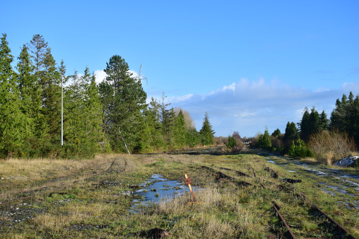 Mit der Stillegung der letzten Torfkraftwerke in Irland endete auch der Torfabbau in Irland. Die Clonmacnoise and West Offaly Railway welche hier tätig war hatte ein Gleisnetz von etwa 9km Länge und bot bis 2008 sogar Touristenverkehr an. Hier sieht man links das Gleis für die Wafgen oder Lok Instandhaltung. Zur MItte hin gingen 3 lange Abstellgleise und links geht das Gleis zu den Blackwater Torffeldern.

Shannonbridge 07.01.2025