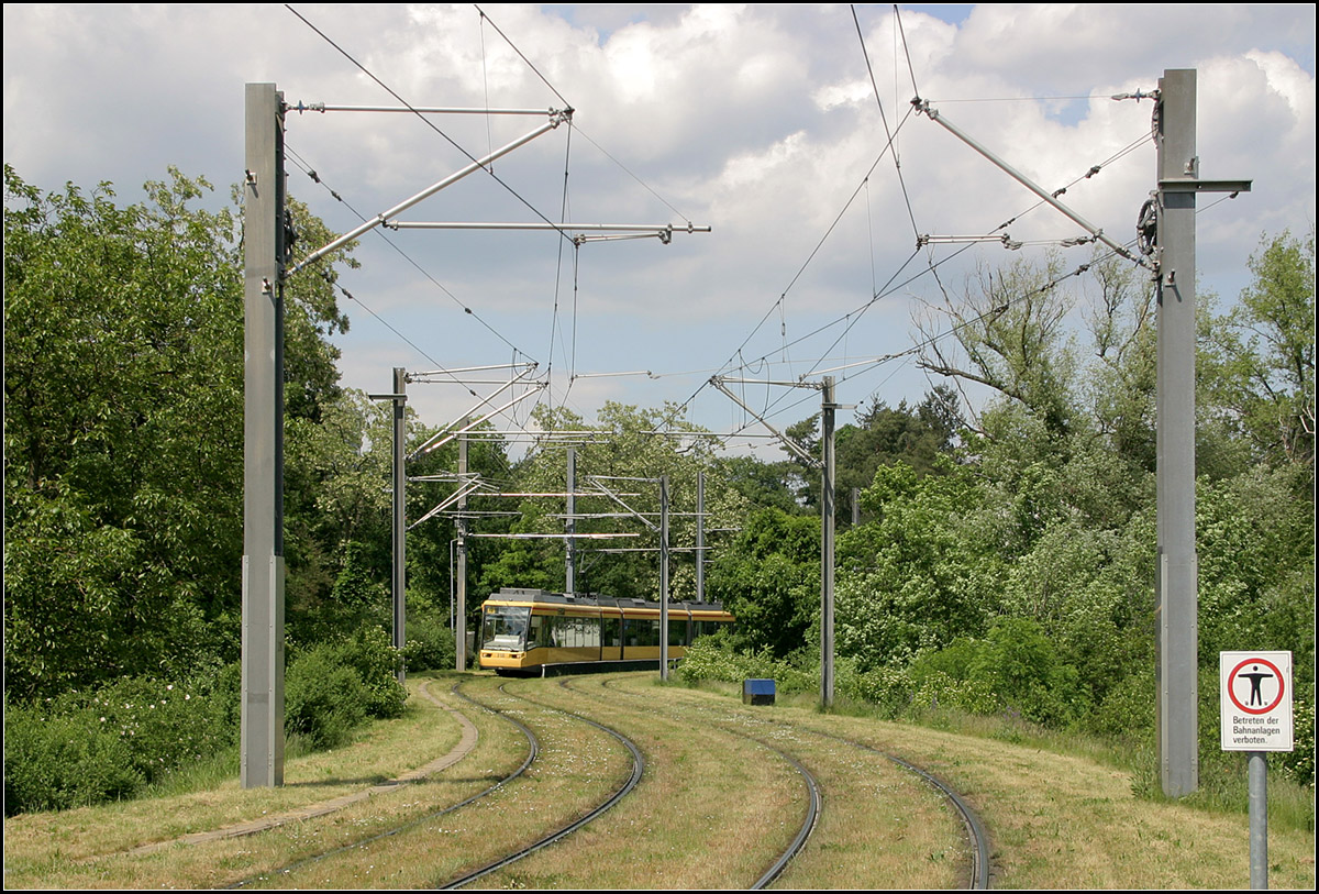 Mit der Straßenbahn durch Karlsruhe-Waldstadt -

Die Verlängerung der Linie 4 umfährt nördlich der Haltestelle 'Jägerhaus' den Jägerhaussee. Entsprechend dem Umfeld wurden auch die Gleise begrünt.

24.05.2006 (M)