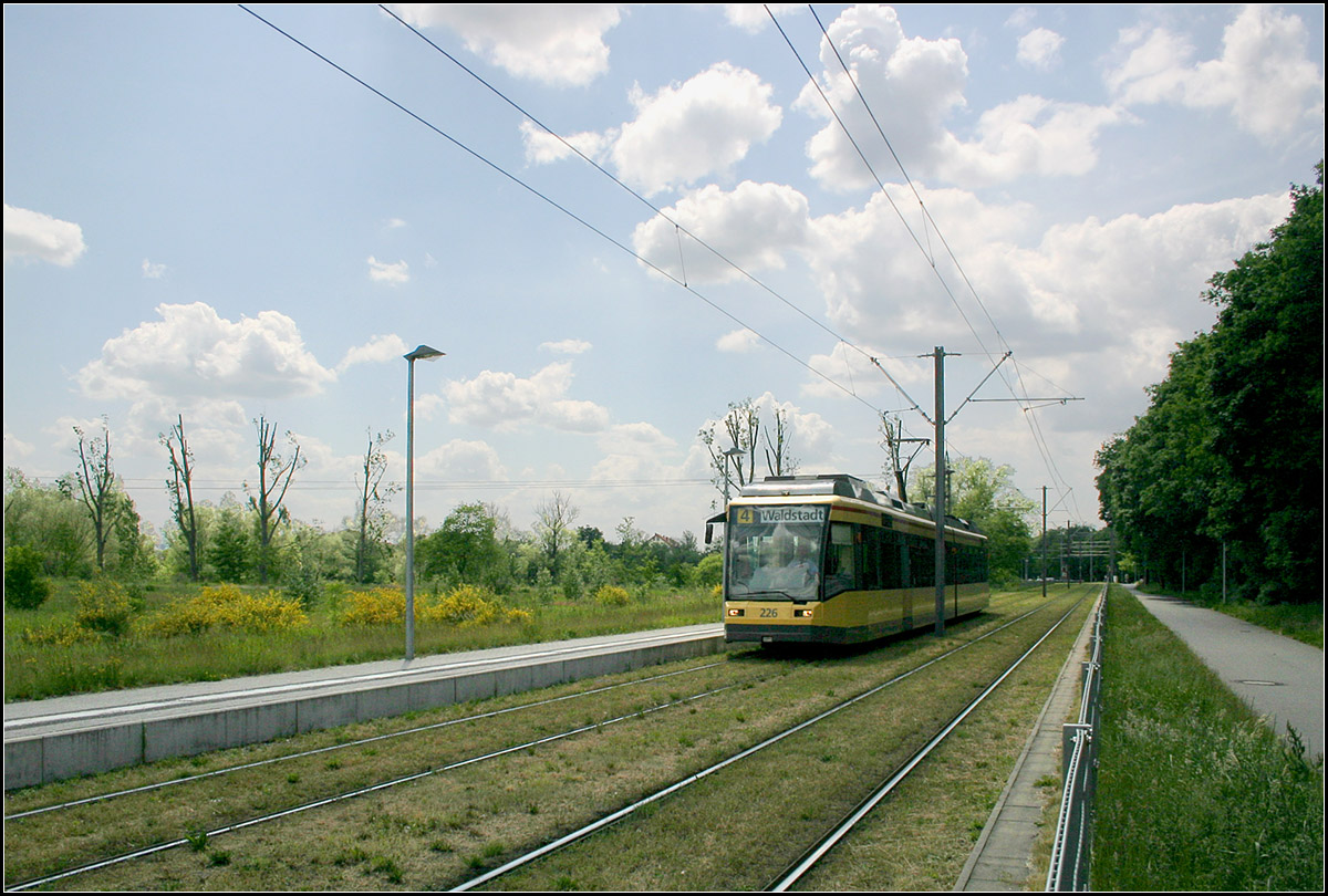 Mit der Straßenbahn durch Karlsruhe-Waldstadt -

In wunderbarer Landschaft nördlich des Jägerhaussees liegt die Haltestelle 'Elbinger Straße (Ost).' Sie erschließt das rechts hinter dem schmalen Waldstreifen liegende Wohngebiet in östlichen Bereich der namensgebenden Straße.

24.05.2006 (M)