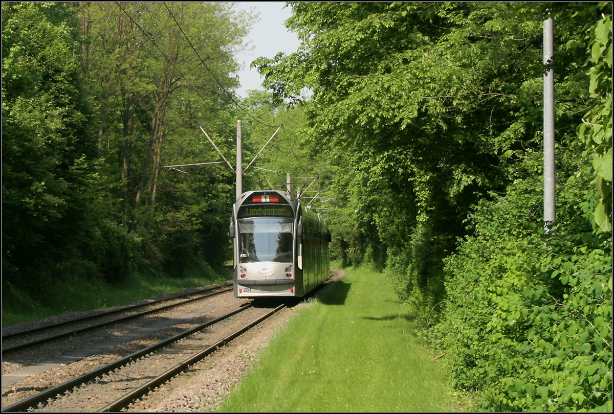 Mit der Straßenbahn nach Freiburg-Landwasser -

Blick von der Haltestelle Moosgrund nach Norden auf die Straßenbahnstrecke durch den Mooswald.

11.05.2006 (M)