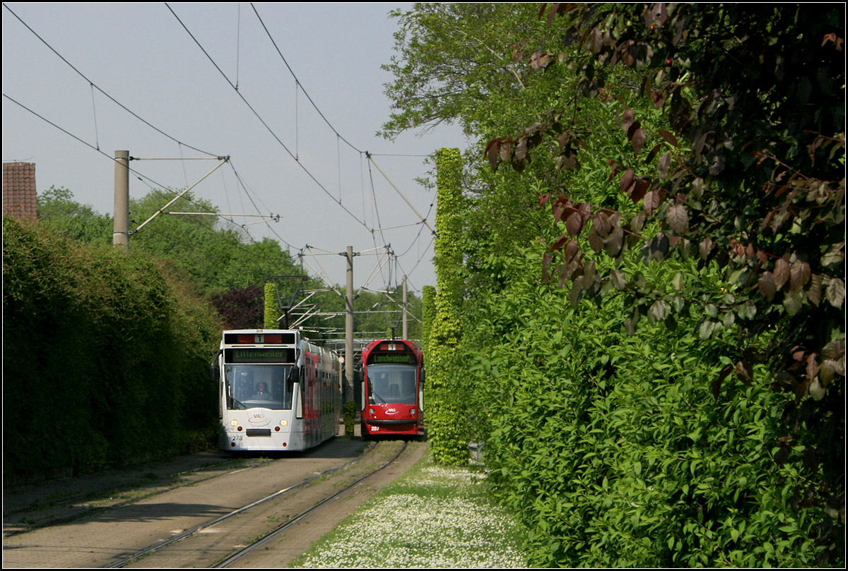 Mit der Straßenbahn nach Freiburg-Landwasser -

Zwischen grünen Wänden: Blick von der Haltestelle Paduaallee in die 1995 eröffnete Verlängerung der ersten Strecke nach Landwasser.

11.05.2006 (M)