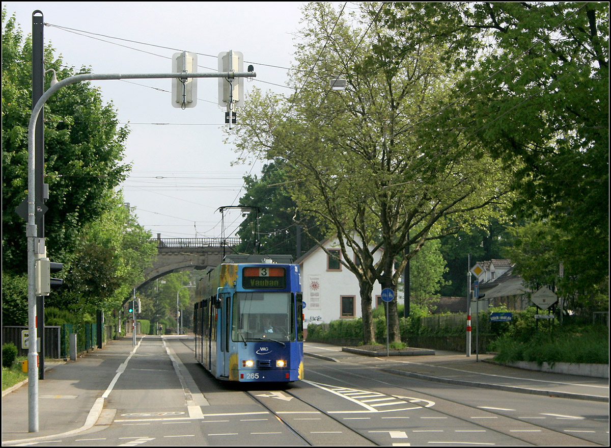 Mit der Straßenbahn nach Freiburg-Vauban -

Auch nach der Bahnbrücke muss aufgrund des hier engeren Straßenquerschnittes in den Fahrbahnen der Merzhauser Straße gefahren werden. Der Blick geht hier von der Haltestelle 'Peter-Thumb-Straße' nach Norden.

11.05.2006 (M)