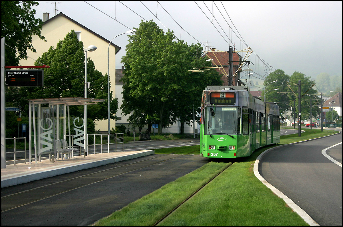 Mit der Straßenbahn nach Freiburg-Vauban -

Die Haltestelle 'Peter-Thumb-Straße' hat versetzt angeordnete Bahnsteige. Im Bereich der Bahnsteige ist das Gleis asphaltiert, wohl zur besseren Reinigung als wenn man hier auch Rasengleis verlegt hätte. So ergibt sich eine etwas kuriose Ansicht. Im weiteren Verlauf reicht die Breite der Merzhauser Straße wieder aus für einen eigenen Bahnkörper.

11.05.2006 (M)