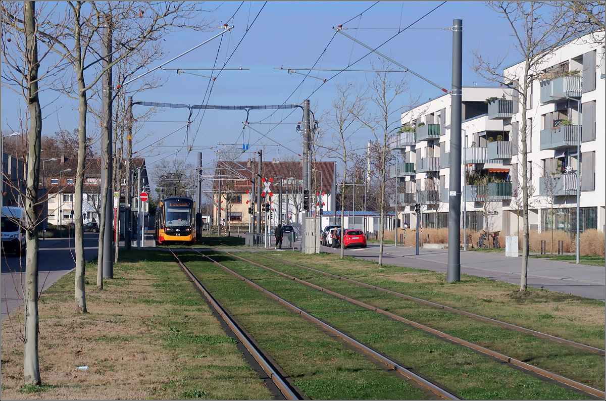 Mit der Straßenbahn nach Knielingen-Nord -

Der Rasenbahnkörper in der Egon-Eiermann-Allee. Die Straßenbahn steht noch in der Endhaltestelle Knielingen-Nord.

Karlsruhe, 12.01.2022