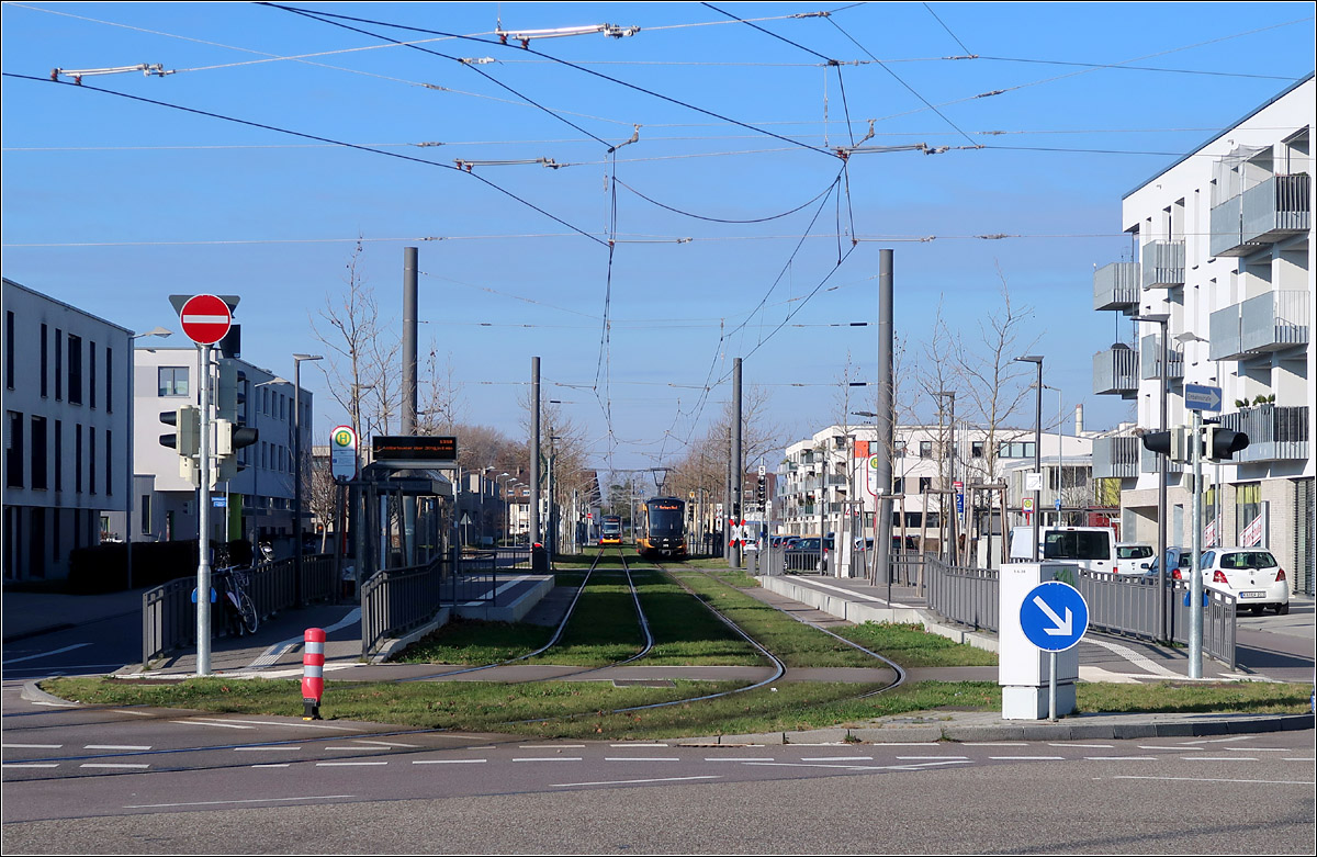 Mit der Straßenbahn nach Knielingen-Nord -

Zwischen neuen Wohnhäuser im Bereich des ehemaligen Kasernengeländes liegt am Beginn der Egon-Eiermann-Allee die Haltestelle selben Namens.

Karlsruhe, 12.01.2022
