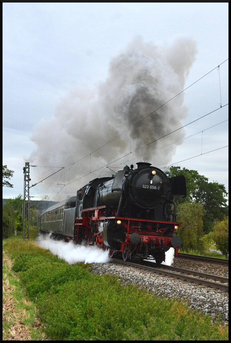 Mit Volldampf auf'n Berg: Eurovapor 23 058 dampft am 14.09.2024 mit dem GleisGlück-Sonderzug (DPE 89047 Würzburg Hbf - Geroldshausen) bei Reichenberg/Unterfranken die Steigung nach Geroldshausen hinauf. Die 77 250 (österreichische 77.25) schiebt den elf Wagenzug nach.