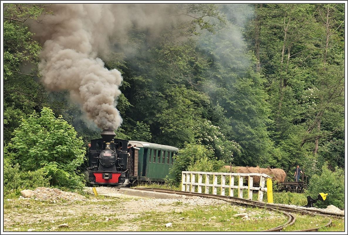 Mit Volldampf erreicht 764.211  Mariuta  Novat Delta, die Abzweigung ins Valea Novat. (13.06.2017)