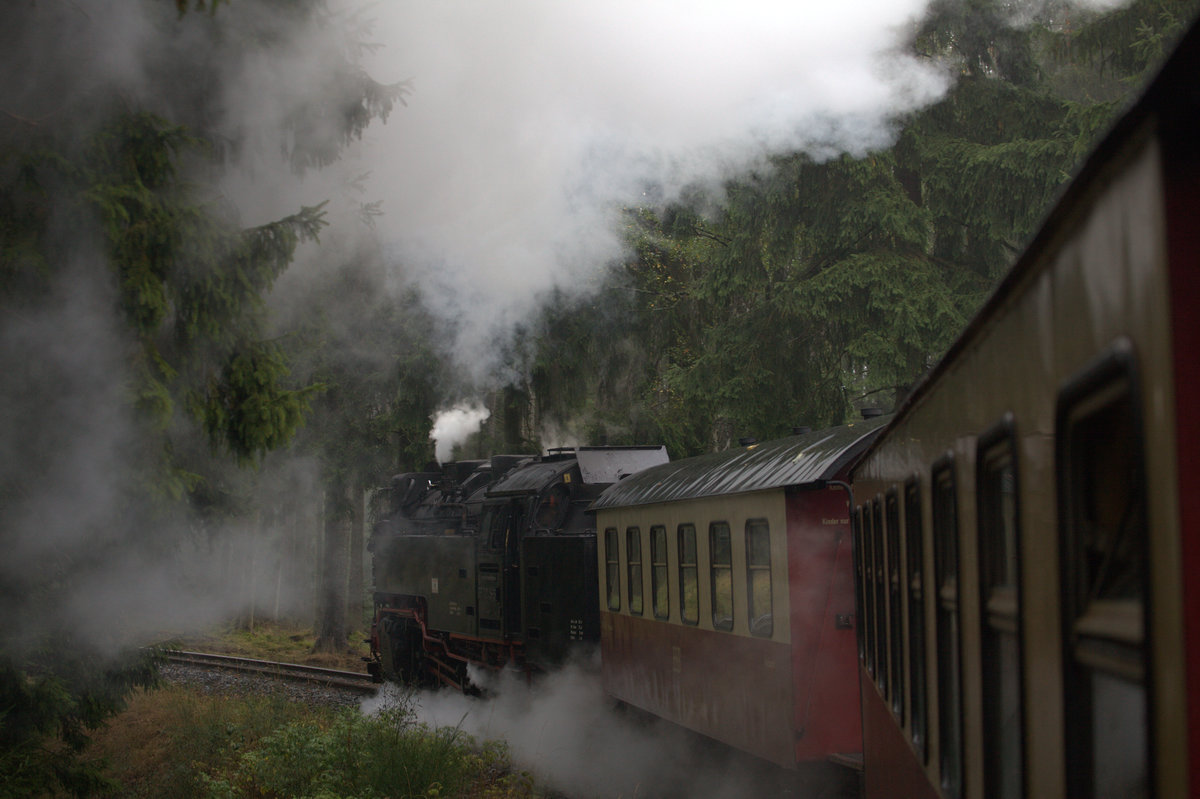 Mit Volldampf geht es hier von der Eisfelder Talmühle hinauf nach Benneckenstein.
01.10.2016 14:20 Uhr.