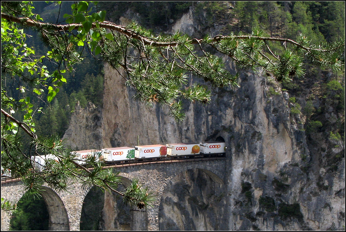 Mit Zweig -

Den Landwasserviadukt anders gesehen. 

14.05.2008 (G)