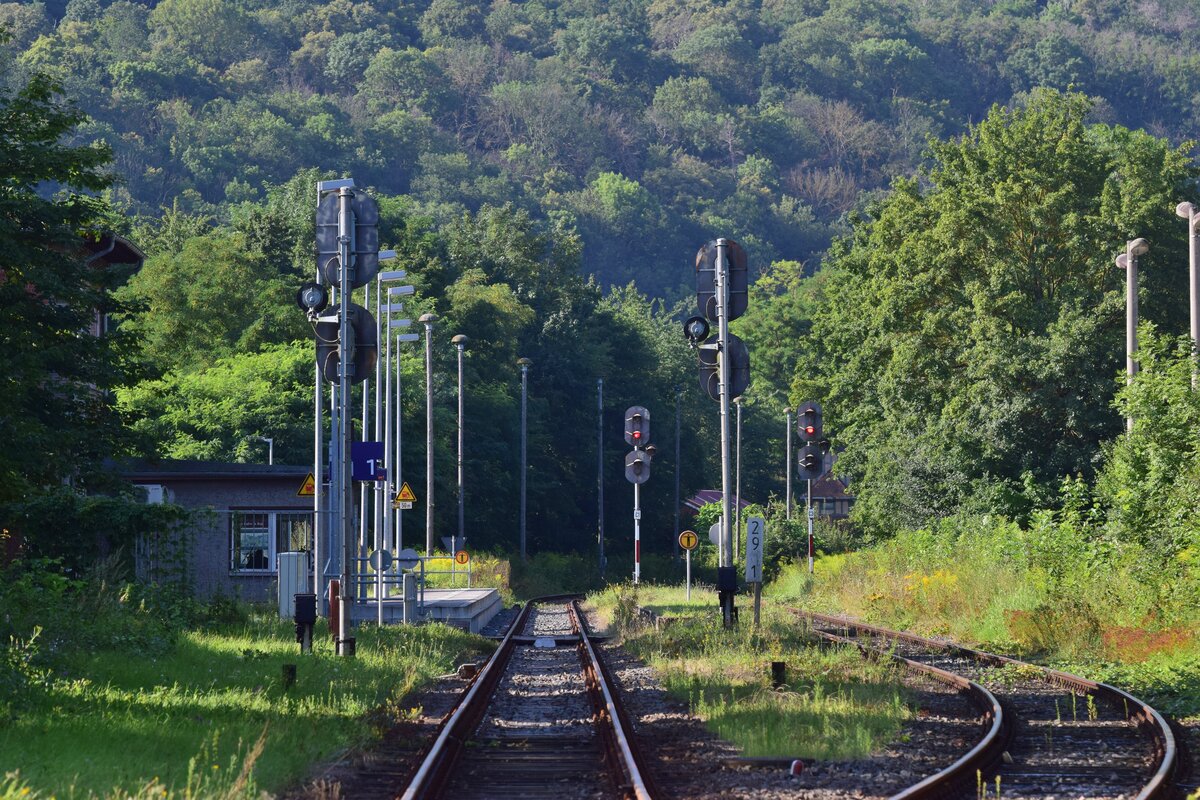Mittlerweile sind die EZMG Signale in Nebra Geschichte. Da letztes Jahr bereits feststand das diese wegfallen wurde dem Bahnhof Nebra am 16.8.21 nochmal ein letzter Besuch abgestattet.
Blick auf den Bahnhof Nebra vom Bahnübergang der B250 aus.

Nebra 16.08.2021