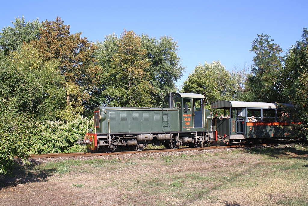 Mk48.2031 der Kirlyrti Erdei Vast mit Zug 6306 von Kismaros nach Kirlyrti am 07.September 2013 kurz nach dem Bf. Kismaros.

