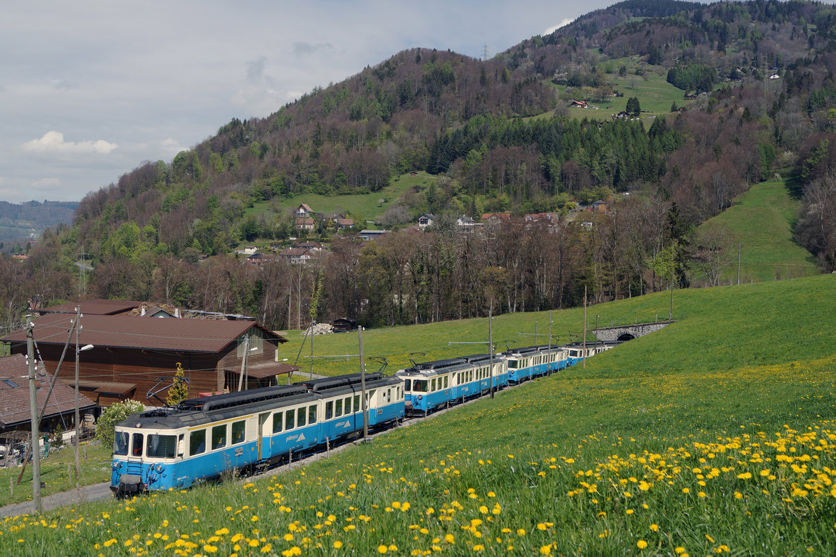 MOB: Vier Motorwagen 4000.
Bei der MOB geht die Ära der ABDe 8/8 mit Baujahr 1968 langsam aber sicher zu Ende. Zum letzten Mal waren in der Westschweiz am 17. April 2017 die ABDe 8/8 4001-4004 gemeinsam unterwegs.
ABDe 8/8-Parade auf der Museumbsbahn Blonay Chamby bei Cornaux.
Foto: Walter Ruetsch   
