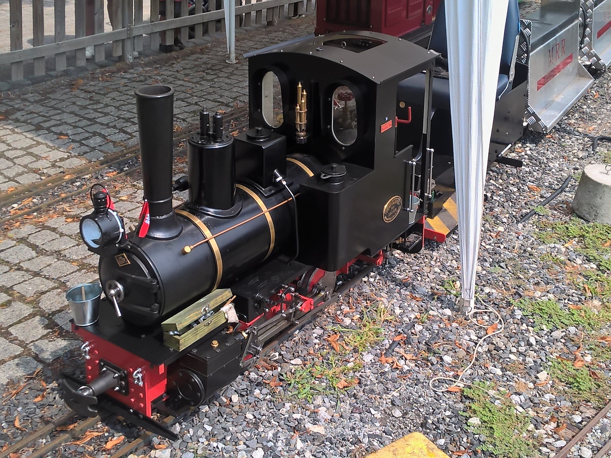 Modell einer O&K-Dampflok beim Steampunk Picknick auf der Gartenbahn im Maximilian-Park in Hamm, 21.7.2018
