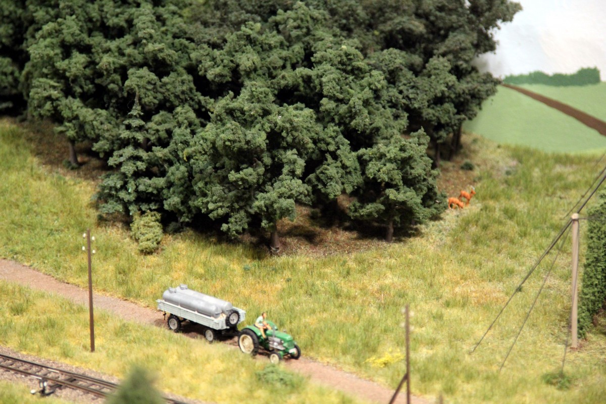 Modellbahn Szene auf einer Modellbahnanlage in Gera. Foto 09.11.2013