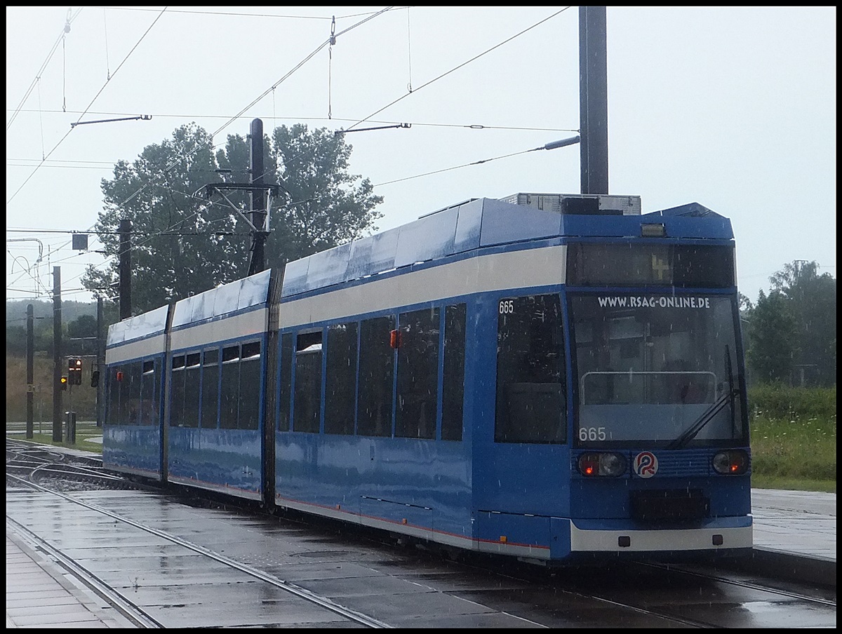 Moderne Straßenbahn NR. 665 der RSAG in Rostock am 08.07.2014