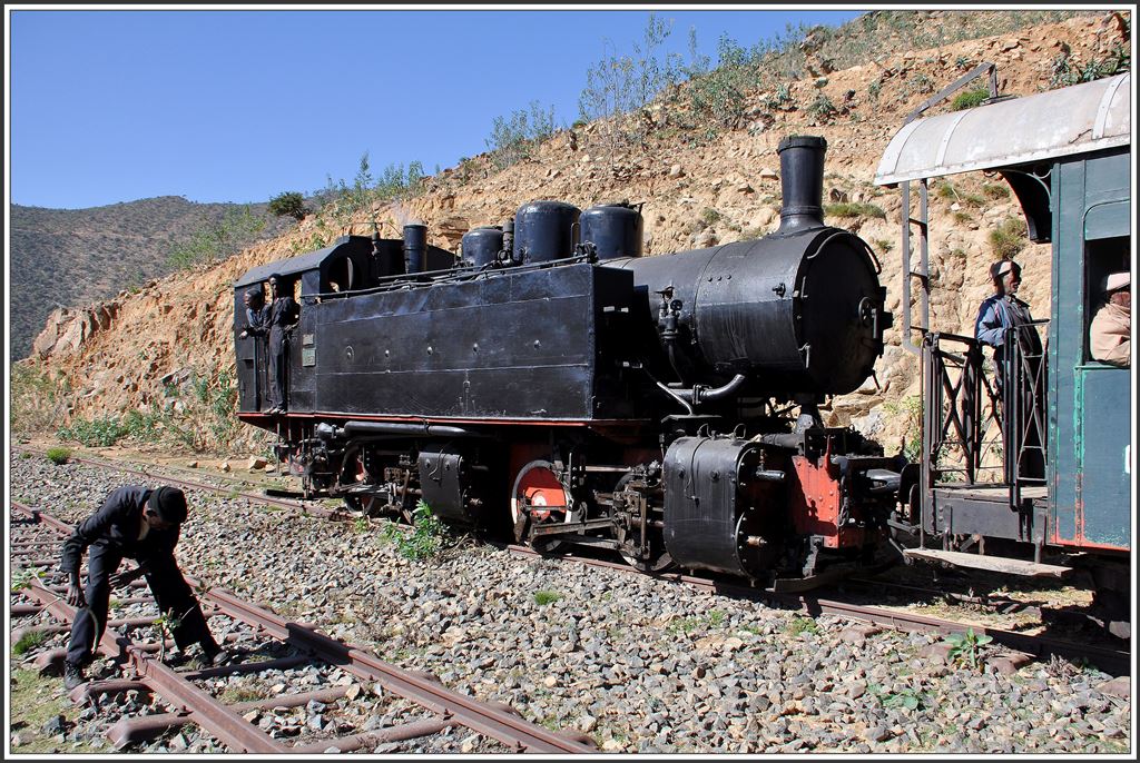 Mohammed rückt dem Unkraut in der Station Lessa zu Leibe, während 442.59 eine Verschnaufpause einlegt. (05.12.2014)