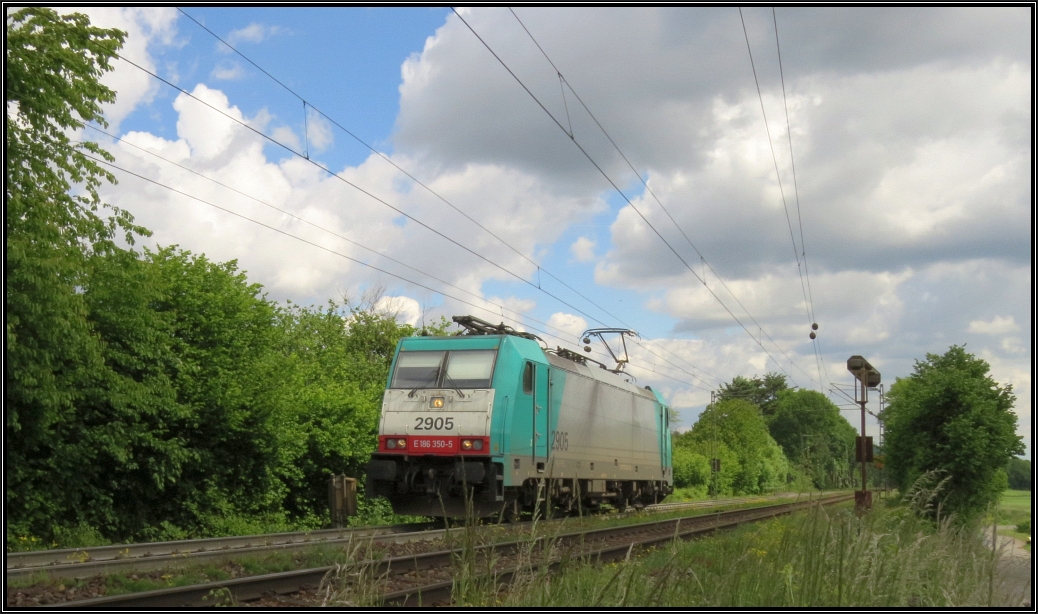 Momentaufnahme von der Montzenroute am Gemmenicher Weg bei Aachen am 30.Mai 2015.
 Natur und Technik im Einklang .

