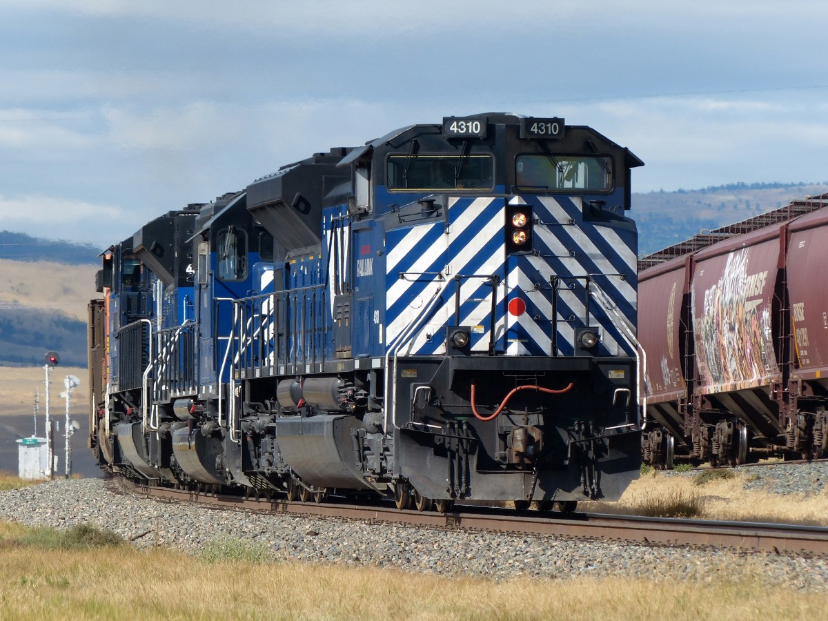 Montana Rail Link 4310 als letzte von insgesamt sieben Loks am Ende eines Kohlezuges am 09.09.2013 in Livingston, Montana.