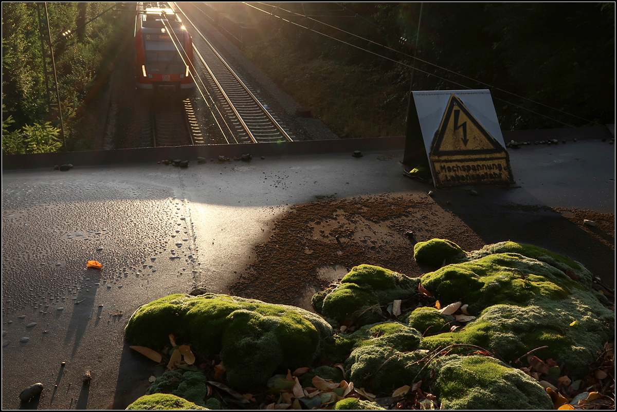 Moos über der S-Bahn -

Moosbildung an dem Schutzblech über dem Fahrdraht an einer Brücke bei Kernen-Rommelshausen. Hier als Extra das orangene Blatt mit seinem Schatten.

01.10.2010 (M)

