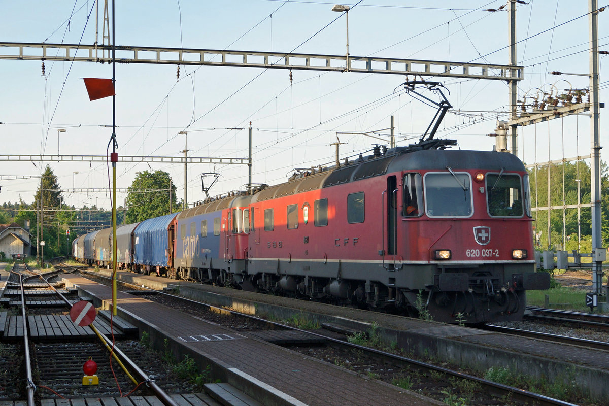 MORGENSTIMMUNG IN GERLAFINGEN VOM 22. MAI 2020.
Re 6/6 Doppeltraktion auf die Abfahrt wartend mit Re 620 037-2  SONCEBOZ-SOMBEVAL  sowie der Re 620 033-1  Muri AG .
Schatten absichtlich nicht aufgehellt, da er zu dieser Tageszeit der Realität entspricht.
Fotostandort öffentlicher Bahnübergang, Bildausschnitt Fotoshop.
Foto: Walter Ruetsch 