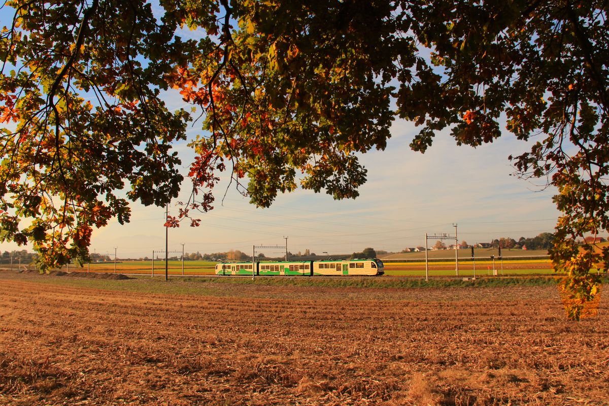 Morges - Bière - Cossonay (MBC) Pendelzug 33-2067-34 bei Chigny. 17.Oktober 2017 