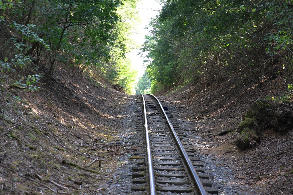 MPZ Strecke zwischen den Haltestellen  Dul Jindrich und Babice am 18.August 2018.