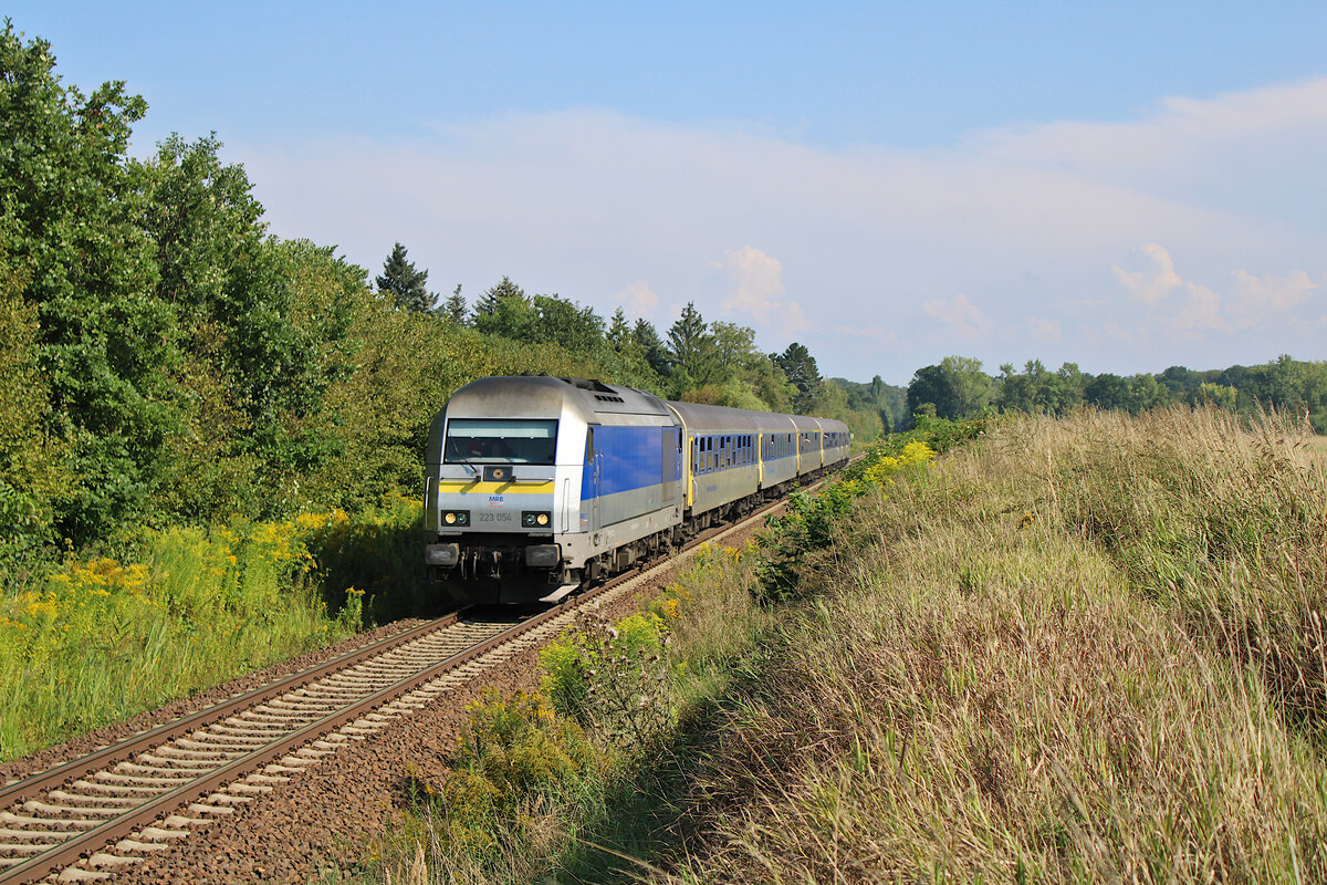 MRB 223 054 rauscht mit einem RE6 von Chemnitz Hbf nach Leipzig Hbf durch den Haltepunkt Großpösna. (18.08.2023)