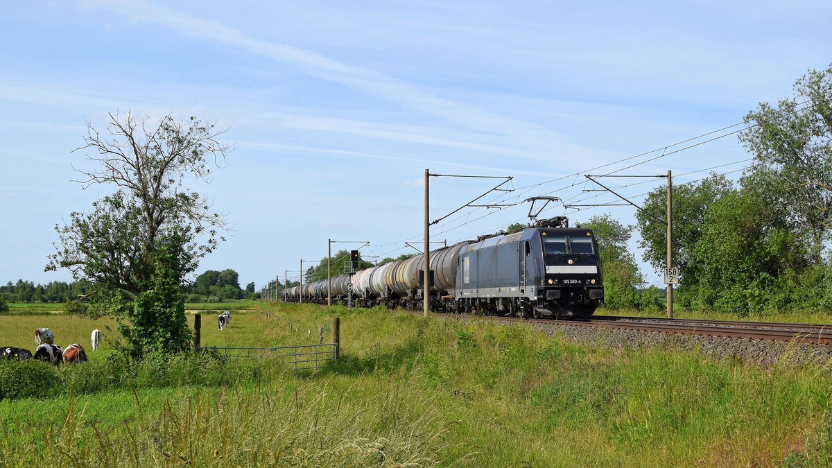 MRCE 185 563, vermietet an ecco-rail, mit Kesselwagenzug in Richtung Osnabrück, Umleiter (Hüde, 15.06.2021).