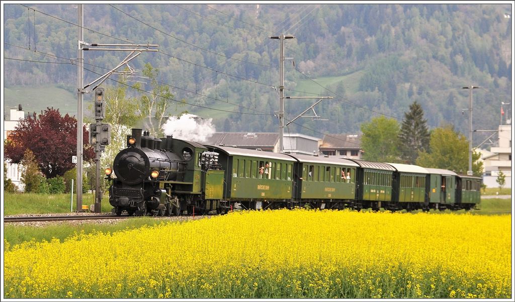 Muttertags Dampfextrazug Davoser Rundfahrt mit G 4/5 107  Albula . Bei Bonazüns zwischen Bonaduz und Rhäzüns. (08.05.2016)
