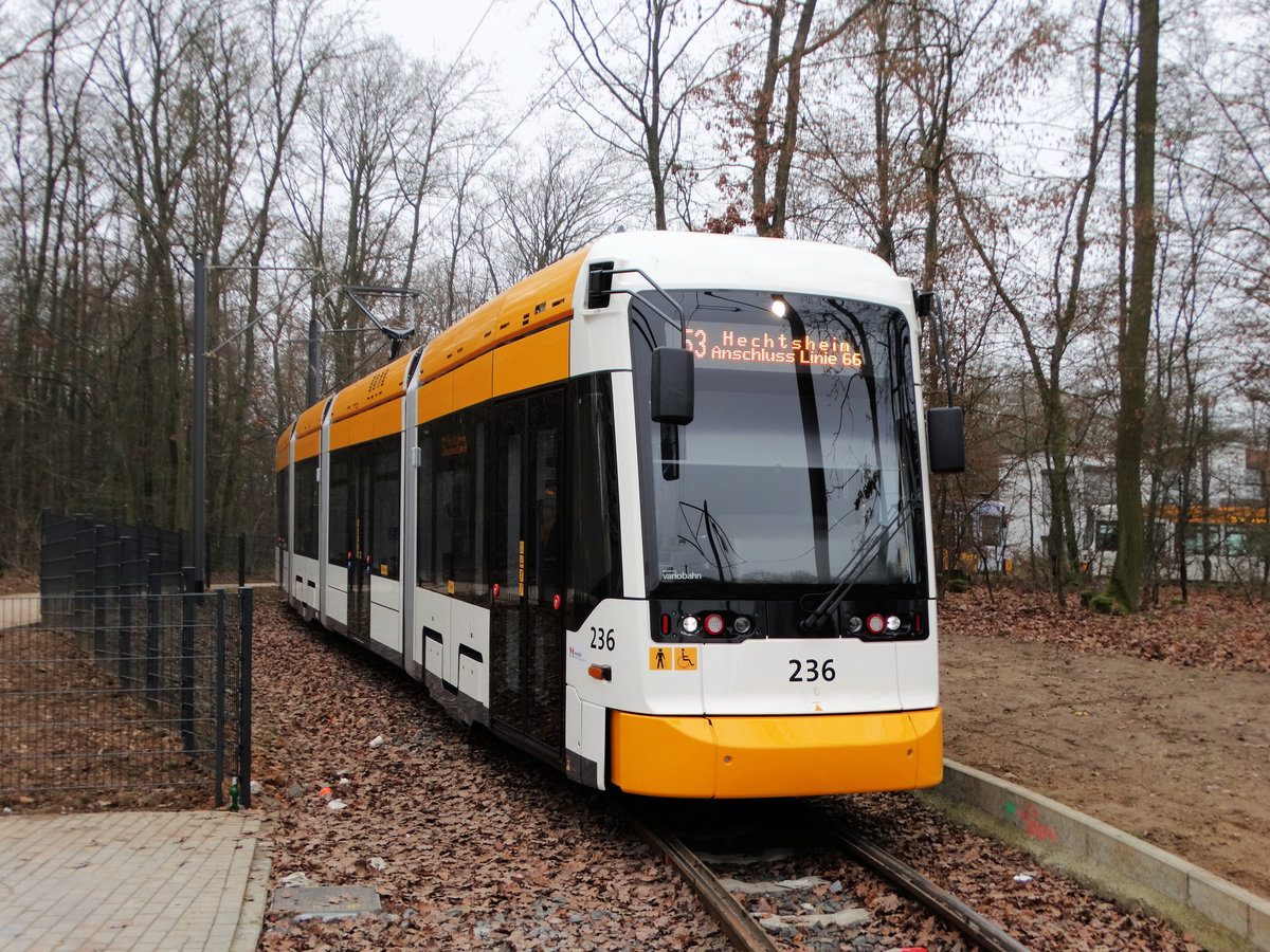 MVG Stadler Variobahn Wagen 236 am 17.12.16 in Mainz Lerchenberg von einen Gehweg aus fotografiert an einen Bahnübergang