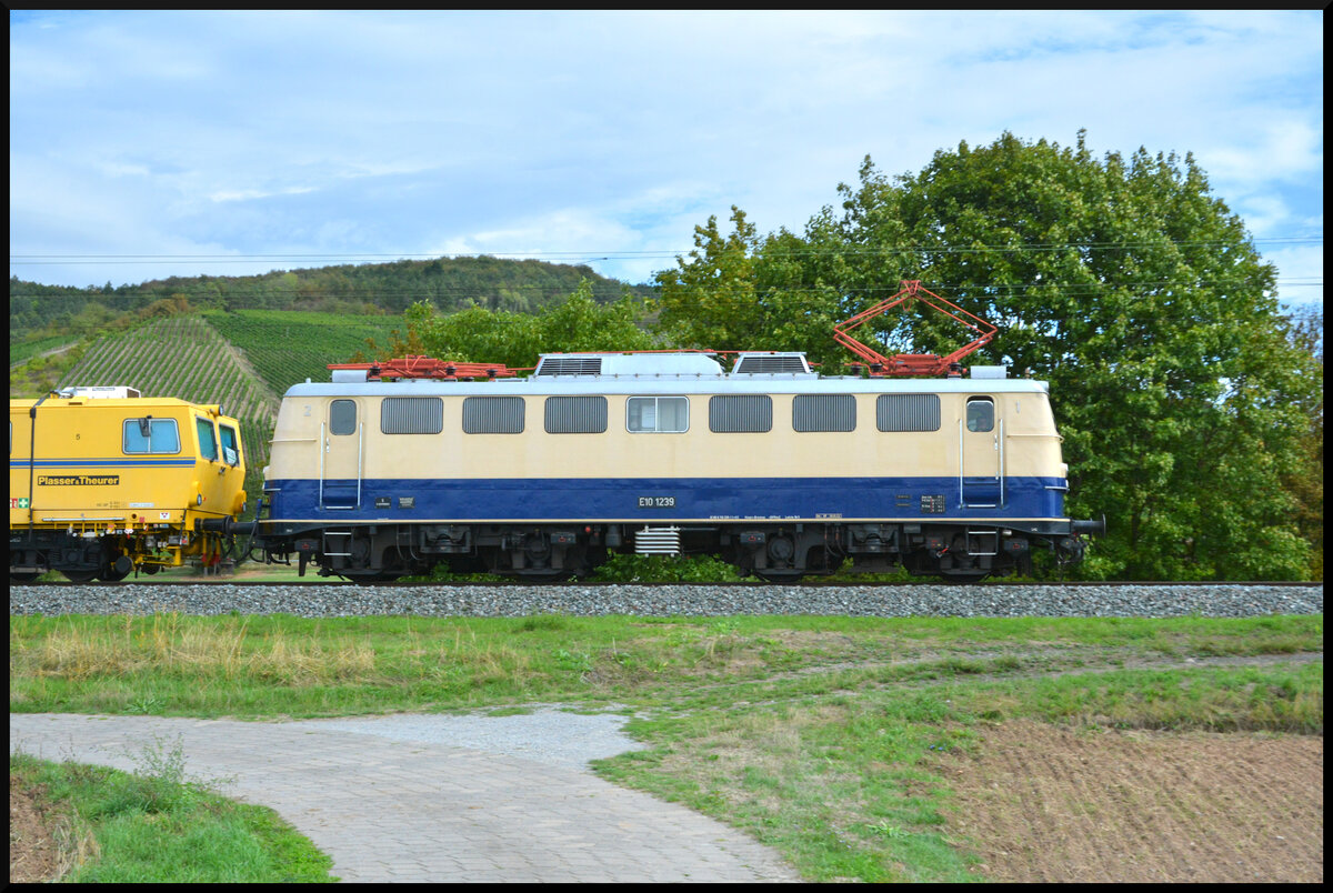 MZ Eisenbahndienstleistungen E10 1239 (110 239) bef�rderte am 03.09.2026 Gleisbaumaschinen bei Th�ngersheim durch das Maintal gen S�den.