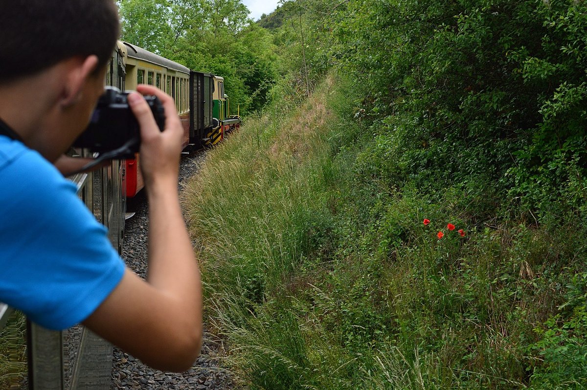 Na da drängelt sich unser Fotokollege Dennis Fiedler mal ins Bild als ich unseren Zug nach Engeln fotografieren wollte. 31.5.2016