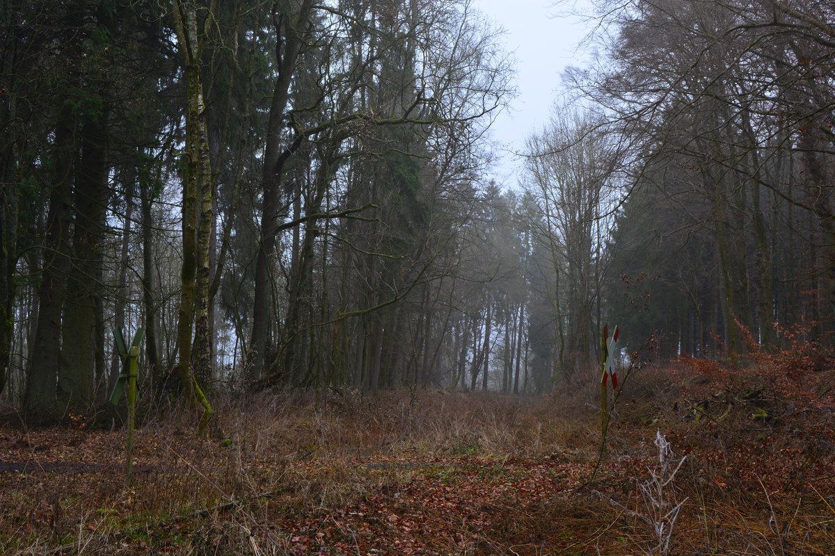 Nach 18Jahren wird die Westerwaldquerbahn aus dem Dornröschenschlaf geholt. Man plant eine Draisinenstrecke von Rennerod bis Westerburg. Man hat bereits einige Bahnübergänge erneuert. Bisland ist erst der Abschnitt Rennerod - Fehl-Ritzhausen freigegeben und befahrbar. Bis auch hier Draisinen rollen wird es wohl noch etwas dauern. Blick  auf einen Bahnübergang in Richtung Fehl-Ritzhausen. 

Höhn 17.12.2016