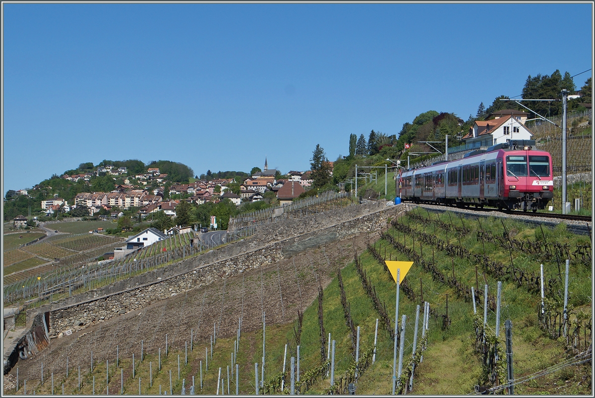 Nach der  Aufwertung  der Strecken 111 zur  Ligne Train des Vignes  übernehmen NPZ den Verkehr, in der Regel der extra dafür gelb/blau gestrichene  Train des Vignes , aber wie das Bild zeigt, auch andere NPZ-Züge wie z.B diese Travis RBDe 560 Pendelzug, der in der Nähe von Chexbres fotografiert wurde. 

6. Mai 2015