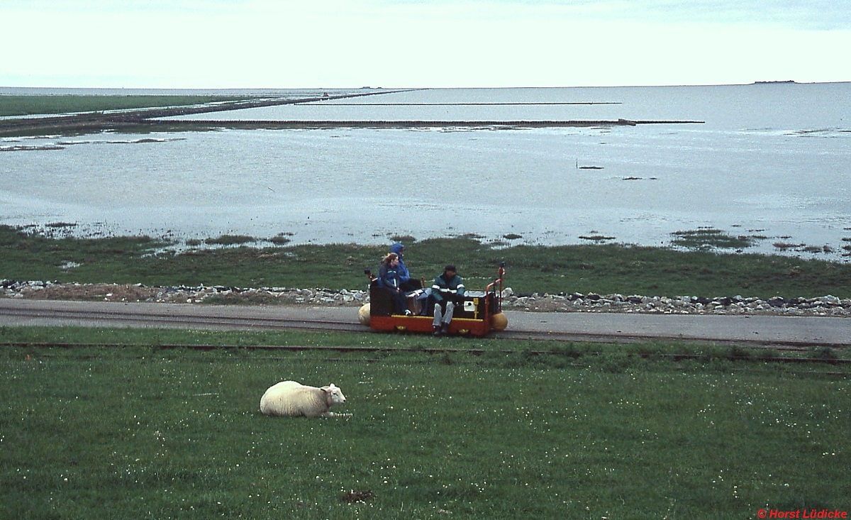 Nach der Durchquerung des Wattenmeeres hat eine Lore mit Feriengästen das Festland bei Dagebüll erreicht (14.10.2010)