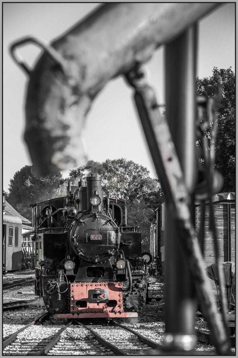 Nach getaner Arbeit rollt 764.411 R ins Heizhaus Stainz.
5.09.2020