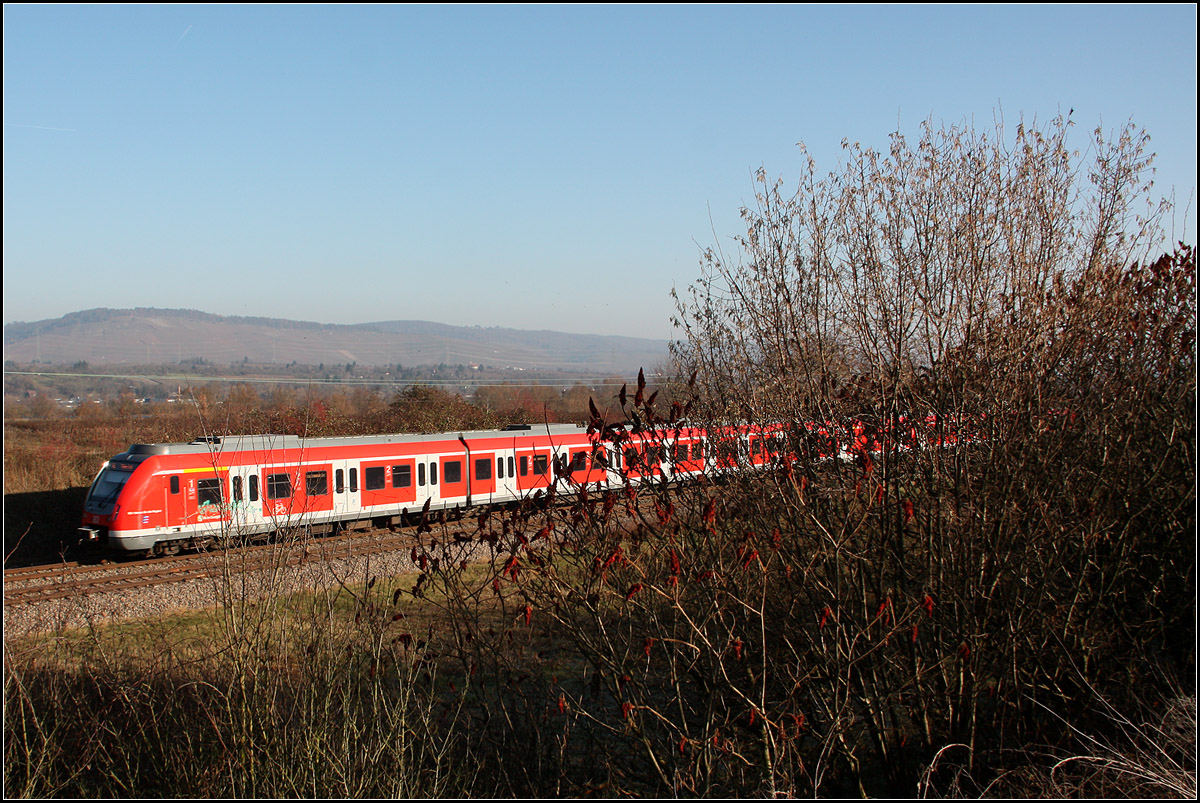 Nach rechts zunehmende Verdeckung II -

Eine Fotostelle an die sich normalerweise kein Bahnfotograf hinstellt um einen Zug zu fotografieren. Aber man kann die Verdeckung durchaus auch zum Bildthema machen. Hier behaupt sich der von der tiefstehenden Sonne angestrahlte S-Bahnzug ganz gut gegen das Gestrüpp.

Aufgrund der Erfahrungen mit dem ersten Bild http://www.bahnbilder.de/bild/Deutschland~S-Bahnen+und+Regionalstadtbahnen~S-Bahn+Stuttgart/981481/-nach-rechts-zunehmende-verdeckung--aber.html
nun eine zweite Version. Eigentlich wollte ich den Zugschatten dieses Mal nicht abschneiden, hab ich auch nicht, aber es sah dann doch eher doof aus und war es doch besser sein Ende aus dem Bild zu nehmen. Der Zug kommt aber jetzt nicht mehr so dicht an den Bildrand wie bei der ersten Version. Bei jener hatte ich auch die Kamera zu tief gehalten und so ergab sich ein langgestrecktes Format. Das ist hier auch korrigiert.

Der Himmel war jetzt klar und somit auch die Sonne etwas kräftiger, die Kontraste empfinde ich daher stimmiger als beim anderen Bild.

S-Bahn im Remstal zwischen Rommelshausen und Weinstadt-Endersbach.

05.12.2016 (M)
